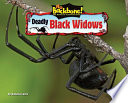 Deadly Black Widows cover
