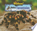 Hairy Tarantulas cover