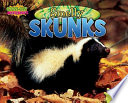 Smelly Skunks cover