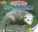 Tricky Opossums cover