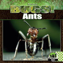 Ants cover