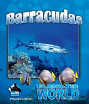 Barracudas cover