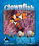 Clownfish cover