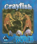 Crayfish cover
