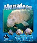 Manatees cover