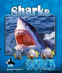 Sharks cover