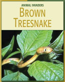 Brown Treesnake cover