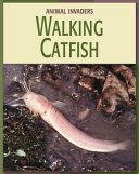 Walking Catfish cover