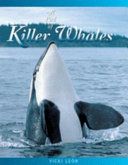 A Pod of Killer Whales: The Mysterious Life of the Intelligent Orca cover