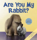 Are You My Rabbit? cover