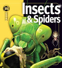 Insects & Spiders cover