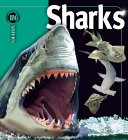 Sharks cover