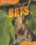Bats cover