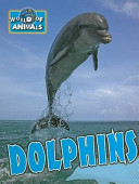 Dolphins cover