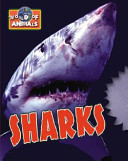 Sharks cover