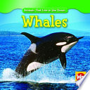 Whales cover