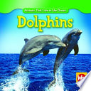 Dolphins cover