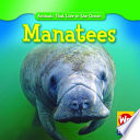 Manatees cover