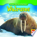 Walruses cover