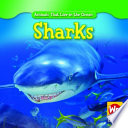 Sharks cover