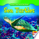 Sea Turtles cover
