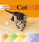 Cat cover