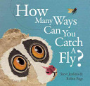 How Many Ways Can You Catch a Fly? cover