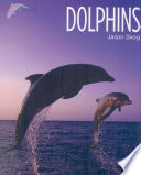 Dolphins cover