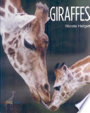 Giraffes cover