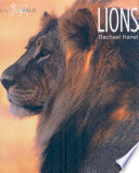 Lions cover