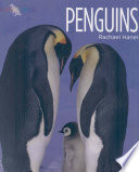 Penguins cover