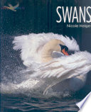 Swans cover