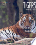 Tigers cover
