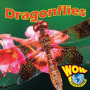 Dragonflies cover