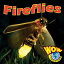 Fireflies cover