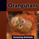 Orangutans cover