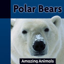 Polar Bears cover