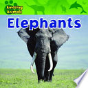 Elephants cover