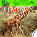 Giraffes cover