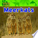 Meerkats cover
