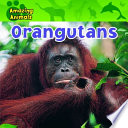 Orangutans cover