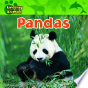 Pandas cover