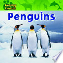 Penguins cover