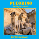 Pecorino: Posing Worldwide cover
