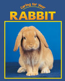 Rabbit (My Pet) cover
