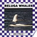 Beluga Whales cover