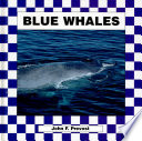 Blue Whales cover