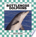 Bottlenose Dolphins cover