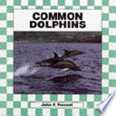 Common Dolphins cover