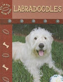 Labradoodles cover